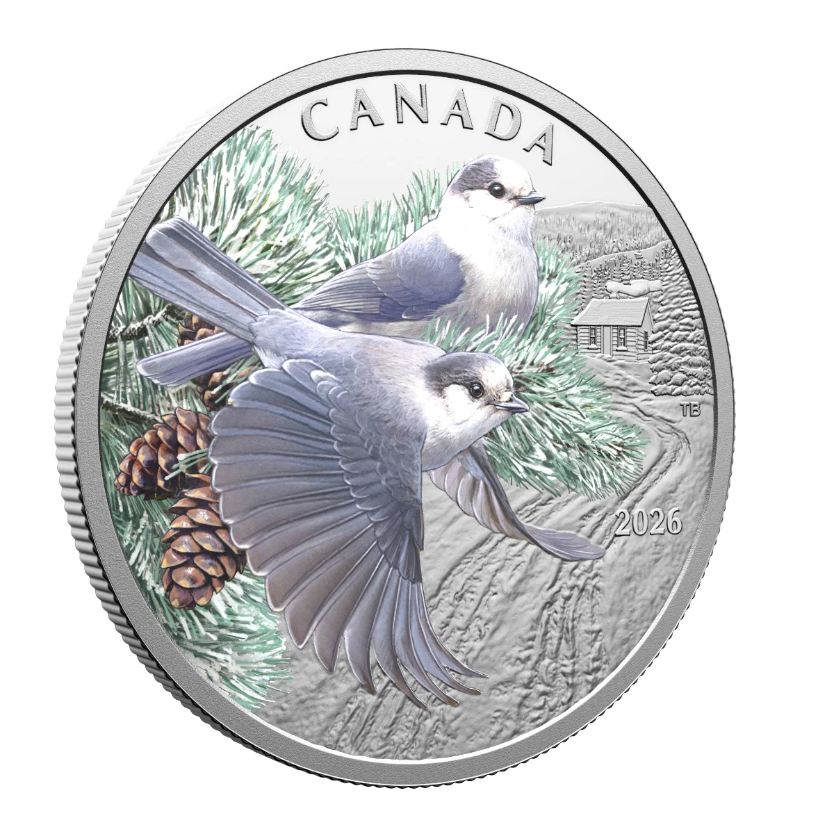 (Pre-Order) 2026 Canada $20 Colourful Birds: Canada Jays Fine Silver (No Tax)