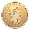 2024 Canada $200 Proud Maple 2oz. Pure Gold Coin (No Tax)