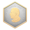 2026 Canada $20 Nature's Delight: The Spider Fine Silver Coin (No Tax)