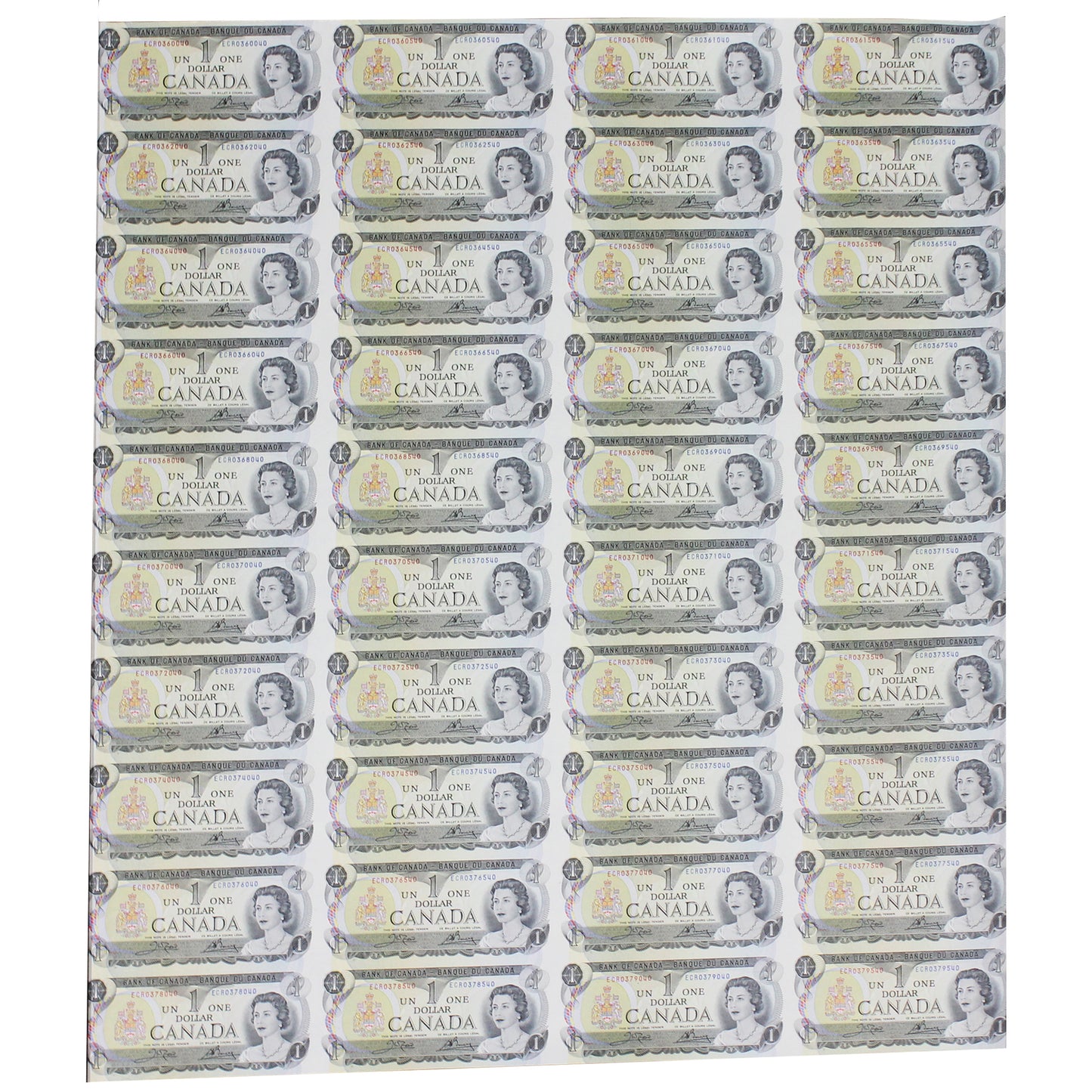 1973 Canada $1 ECR Prefix Uncut Sheet of 40 Notes - 4x10 Format (Ruffled edges)