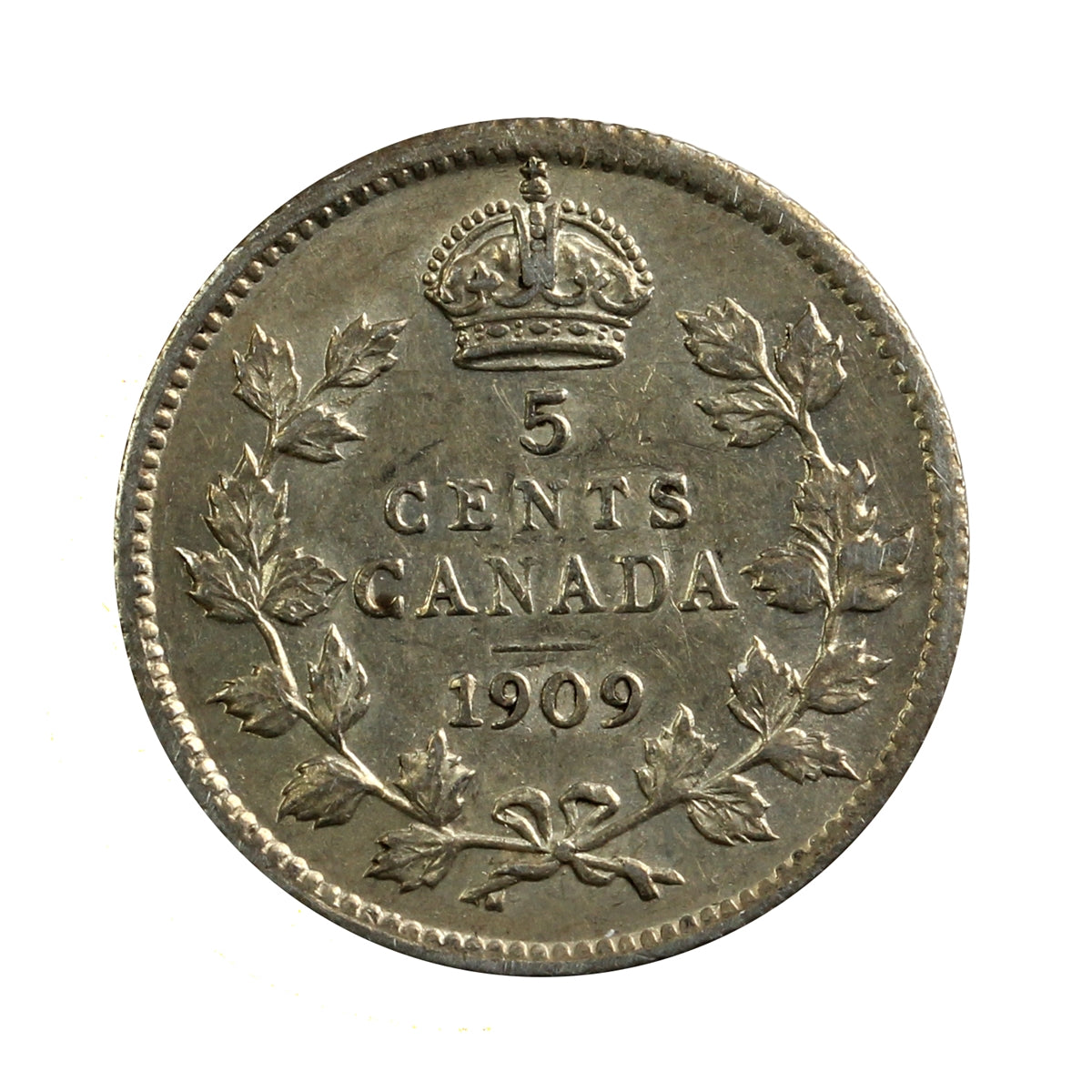 1909 Pointed Leaves Canada 5-cents EF-AU (EF45) $