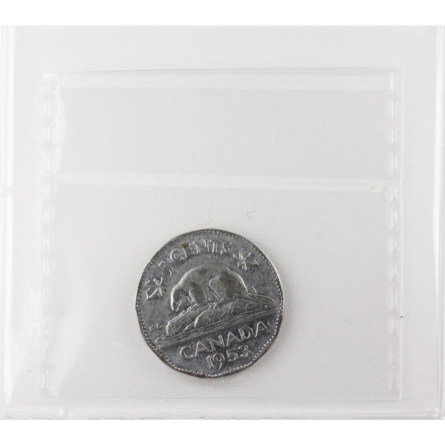 1953 SF, FL Mule 5-cents ICCS Certified VF30