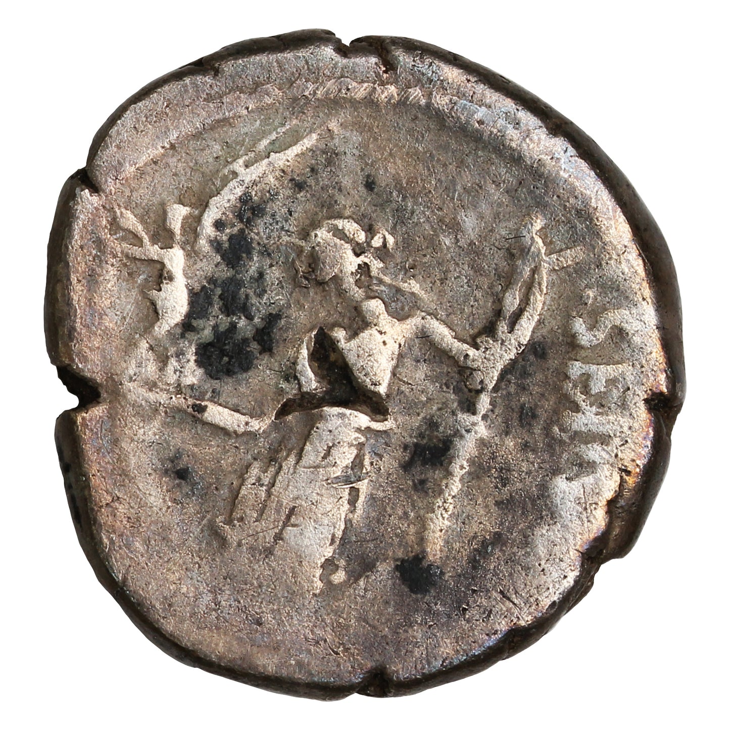 Ancient Roman Republic 49-44BC Julius Caesar P. Sepullius Macer VG-F (VG10)