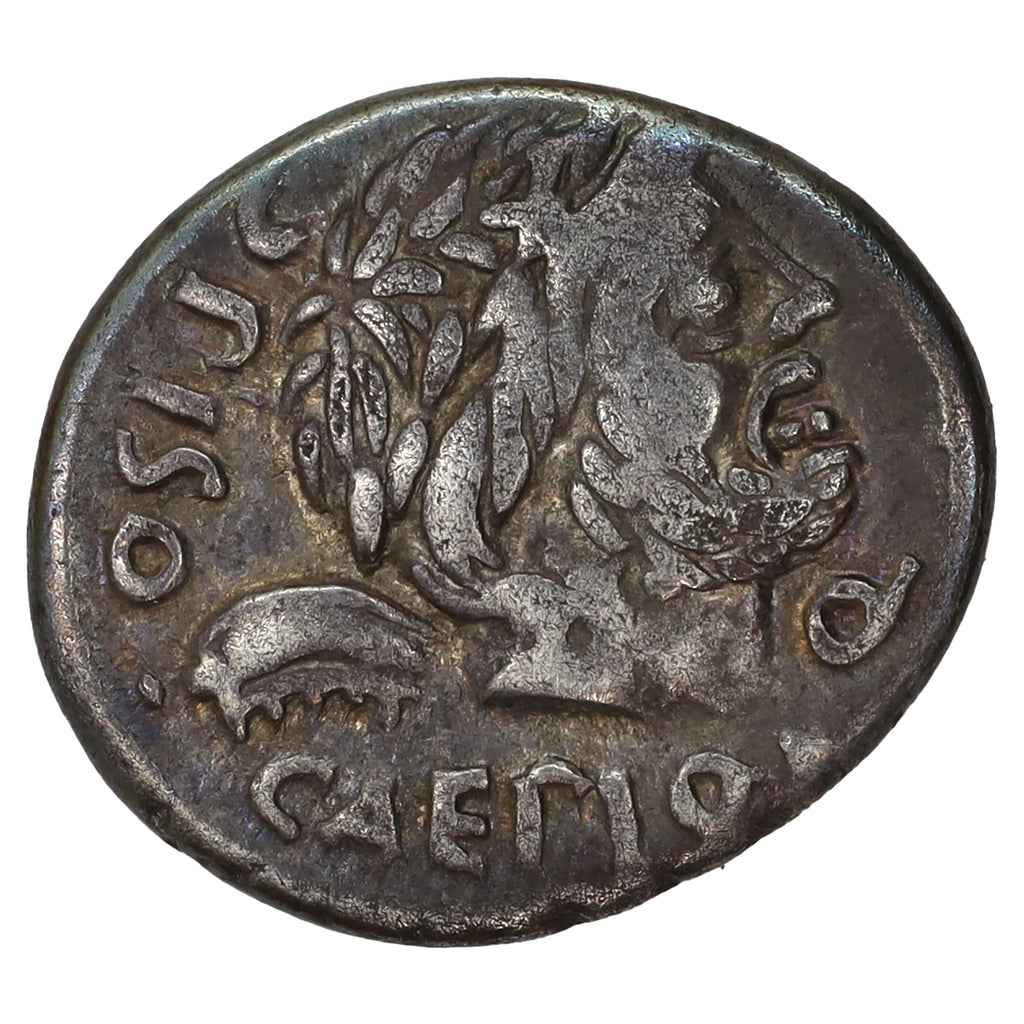 Ancient Roman Republic 100 BC Caepius/Calpurnius Piso Silver Denarius VF-EF (VF30)