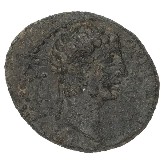 Ancient Kingdom of Thrace 11 BC-12 AD Rhoemetalces With Augustus Copper VF-EF (VF30)