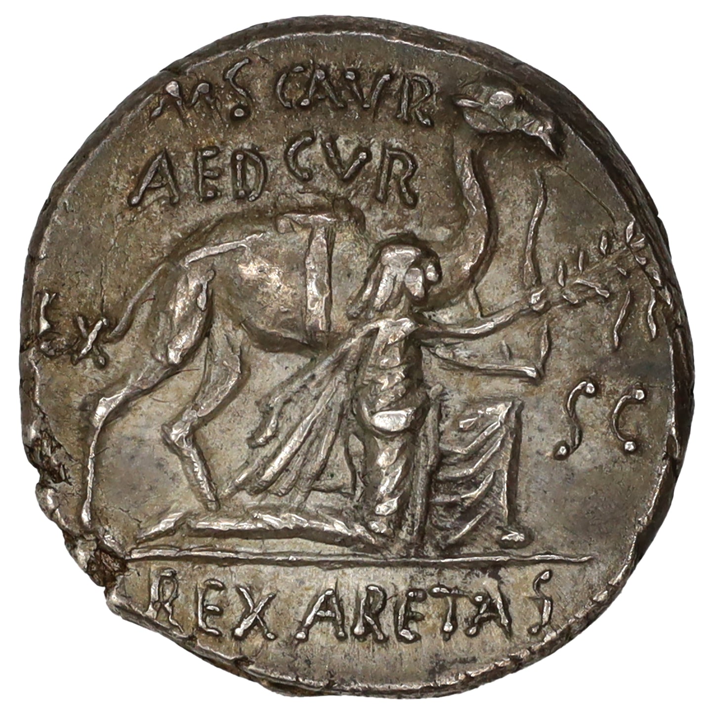 Ancient Roman Republic 58 BC Aretas/Camel M.A. Scarus Silver Denarius Uncirculated (MS60)