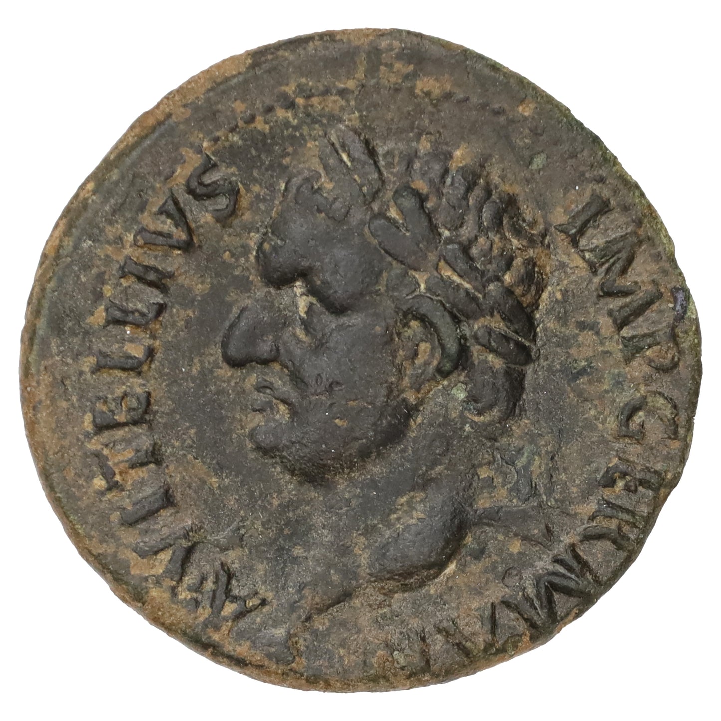 Ancient Rome Jan-July 69 AD Vitellius Copper AS Extra Fine (EF40) SCARCE!