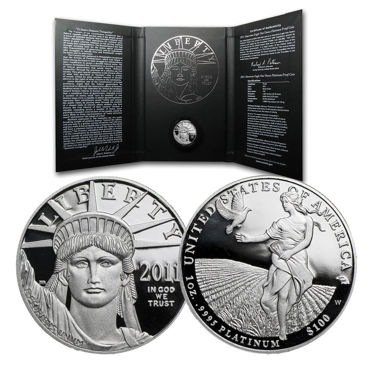 2011-W USA $100 Proof PLATINUM Eagle 1oz .9995 Coin with Box (No Tax)