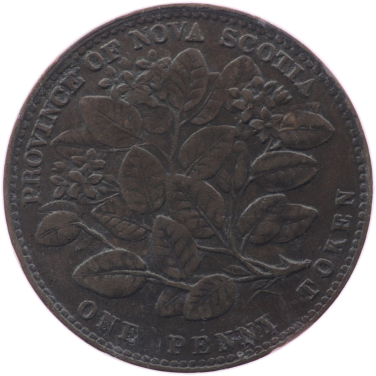 NS-6A1 1856 Nova Scotia, LCW, Victoria Mayflower Penny Token Fine (F12)