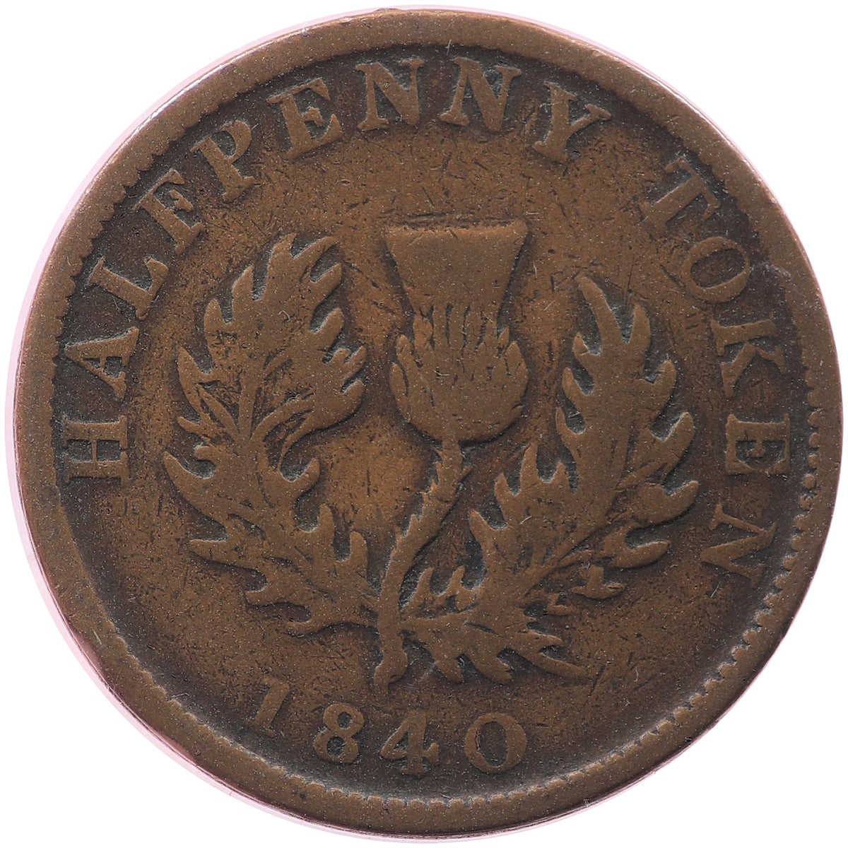 NS-1E2 1840 Nova Scotia Victoria Thistle Half Penny Token Very Good (VG8)