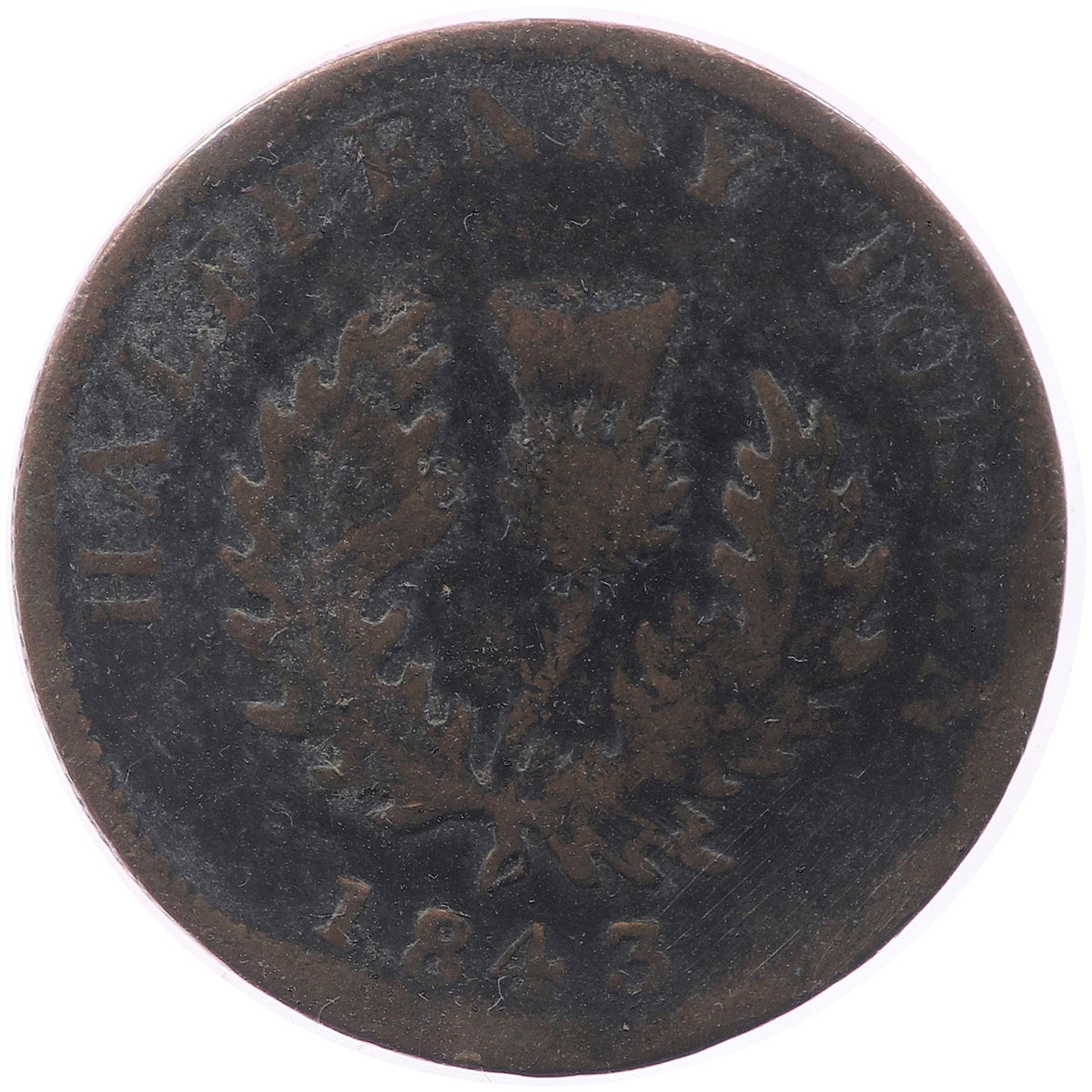 NS-1F1 1843 Nova Scotia Thistle Half Penny Bank Token, G-VG (G6)