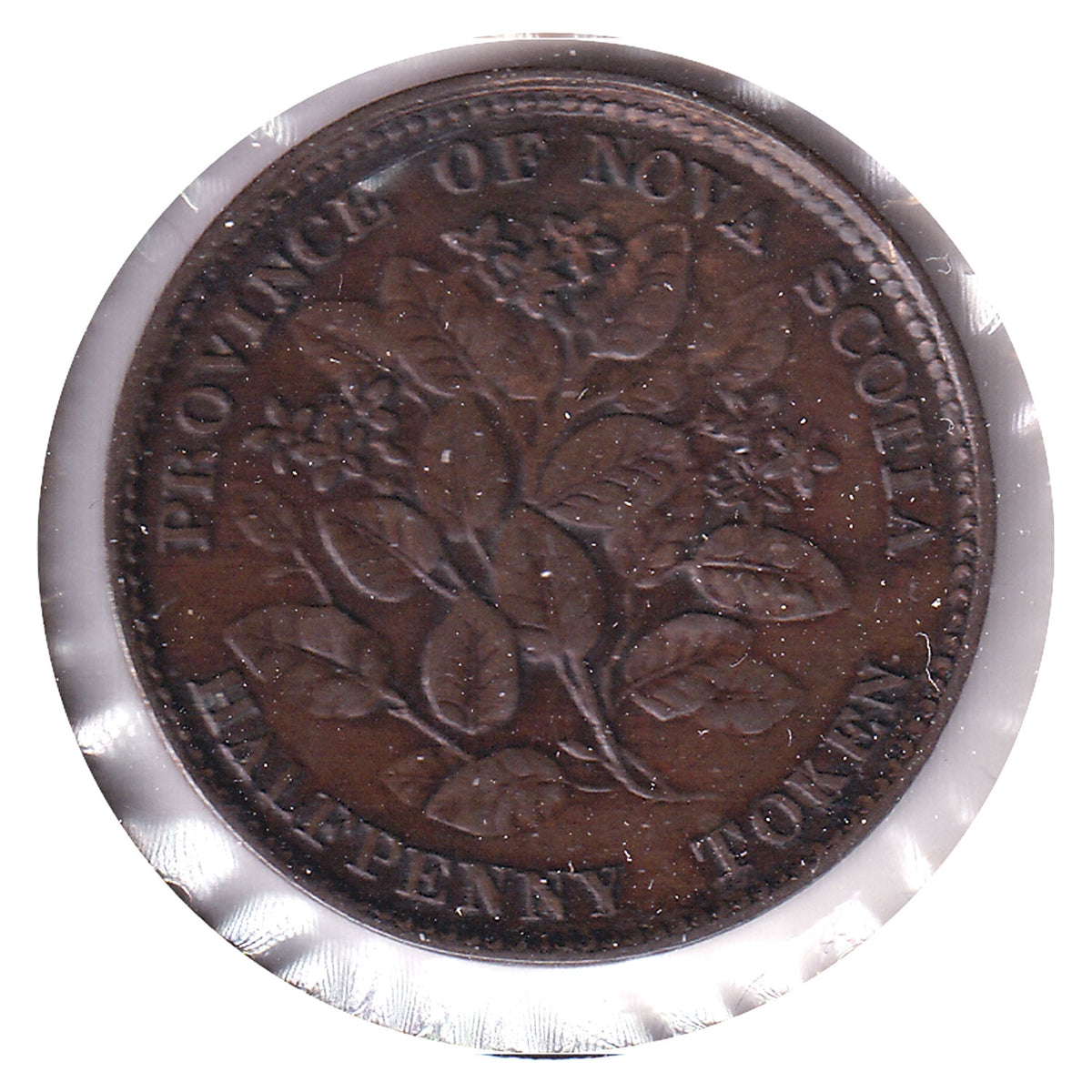 NS-5A1 1856 Nova Scotia Victoria Mayflower Half Penny Token VF-EF (VF30)