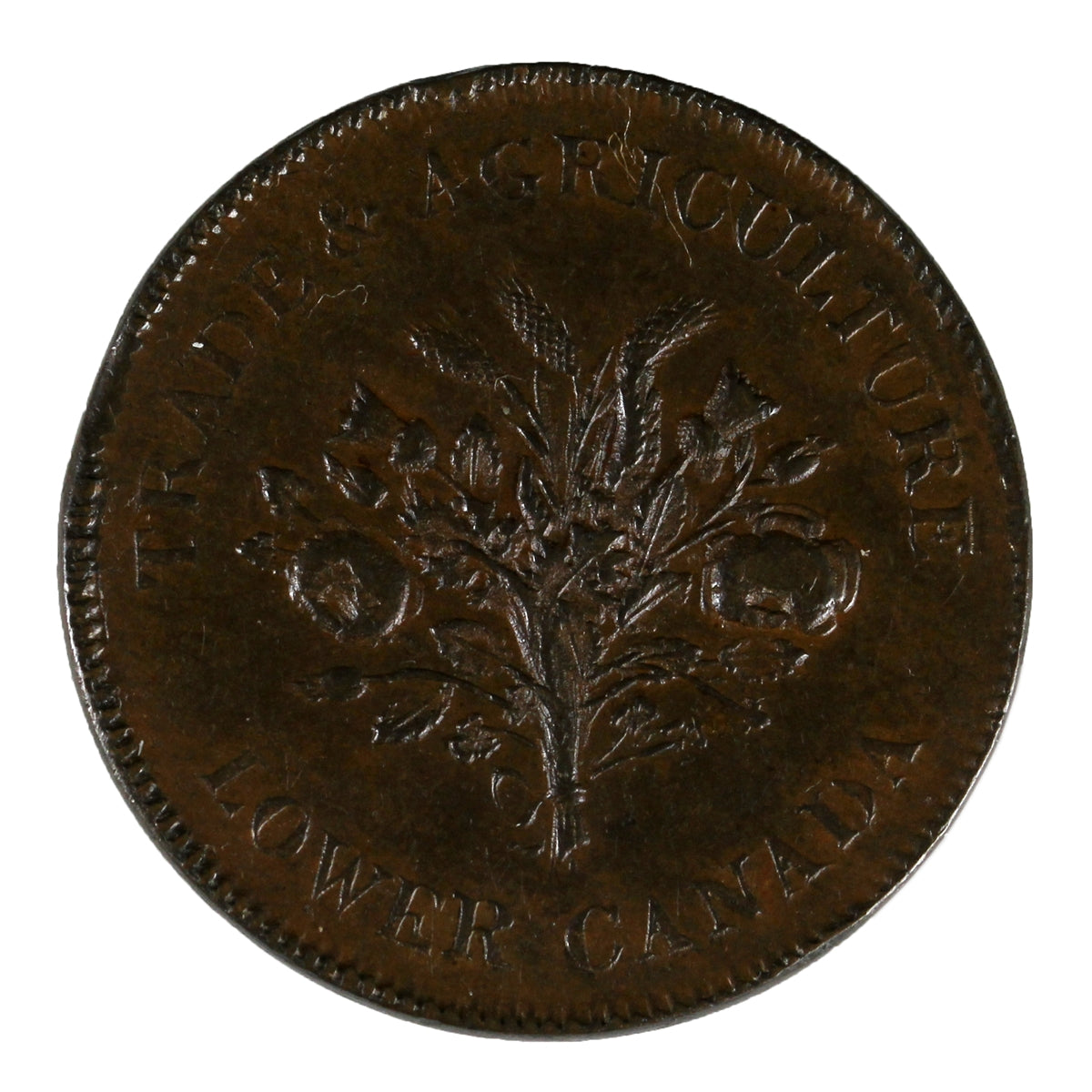 LC-2A5 1835 Lower Canada Un Sous Trade & Agriculture Short Stem Token EF-AU (EF45) $