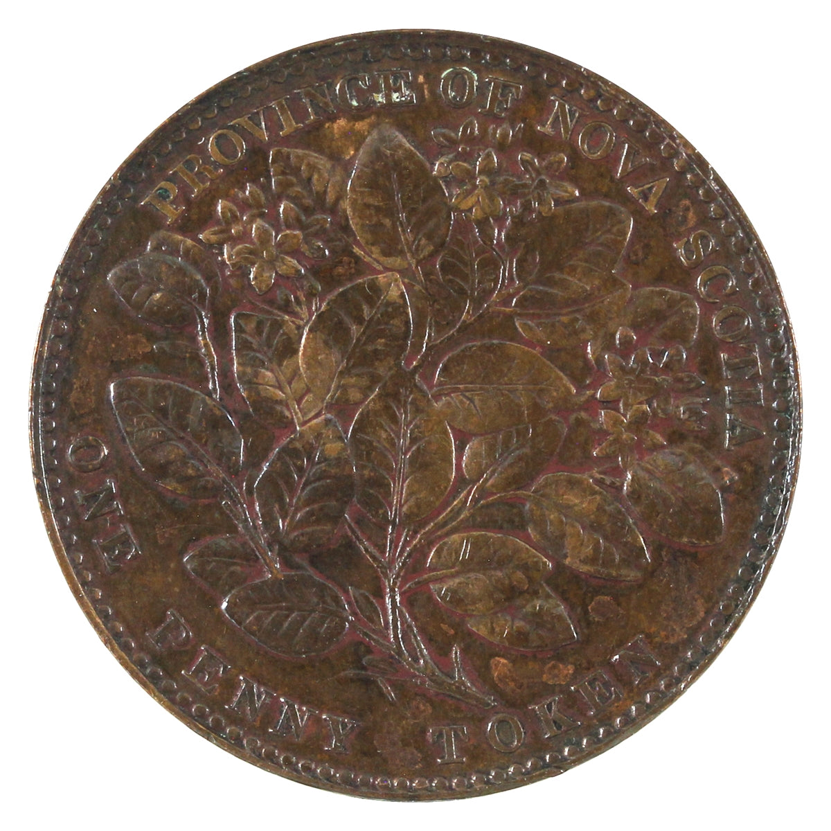 NS-6A1 1856 Nova Scotia, LCW, Victoria Mayflower Penny Token Extra Fin ...