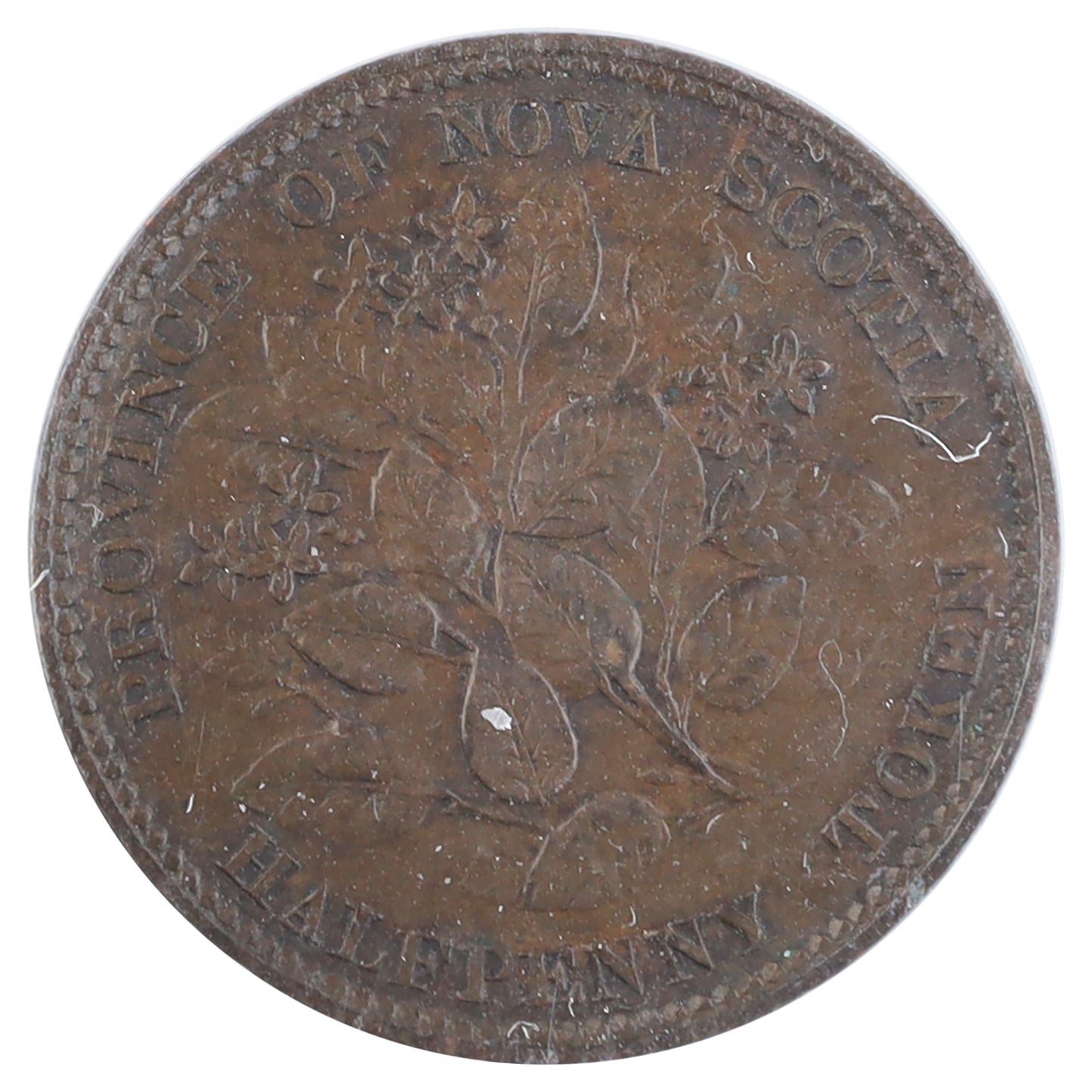 NS-5A1 1856 Nova Scotia Victoria Mayflower Half Penny Token ICCS Certified EF40 BR #876