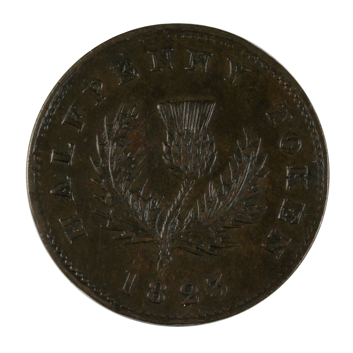 NS-1A4 1823 Nova Scotia 13 Leaves Thistle Half Penny Token Extra Fine (EF-40) $
