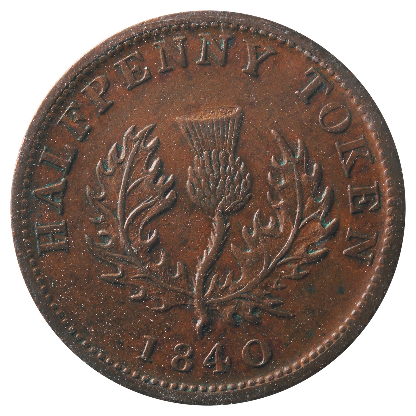 NS-1E2 1840 Nova Scotia Victoria Thistle Half Penny Token ICCS Certified AU-50 BR #874