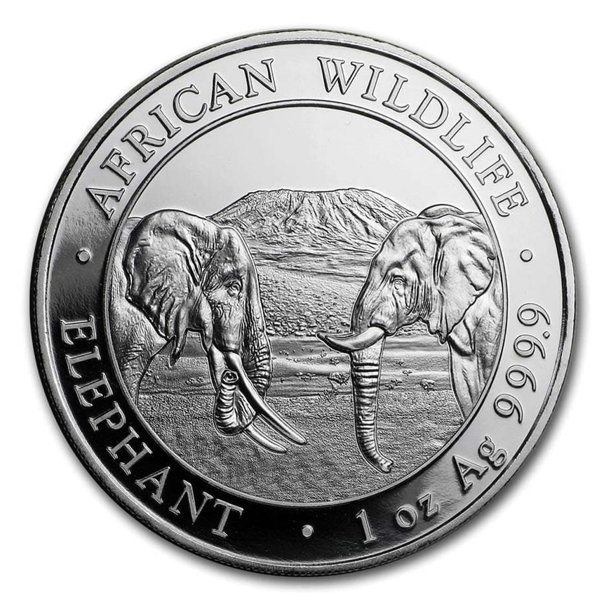 2020 Somalia 100 Shilling Elephant 1oz Silver (No Tax) Light Toning