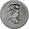 2013 Canada $5 Wildlife Series: Wood Bison 1oz Fine Silver (No Tax) Light Toning