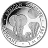 2014 Somalia 100 Shillings African Elephant 1oz .999 Silver (No Tax) White Toning Spots