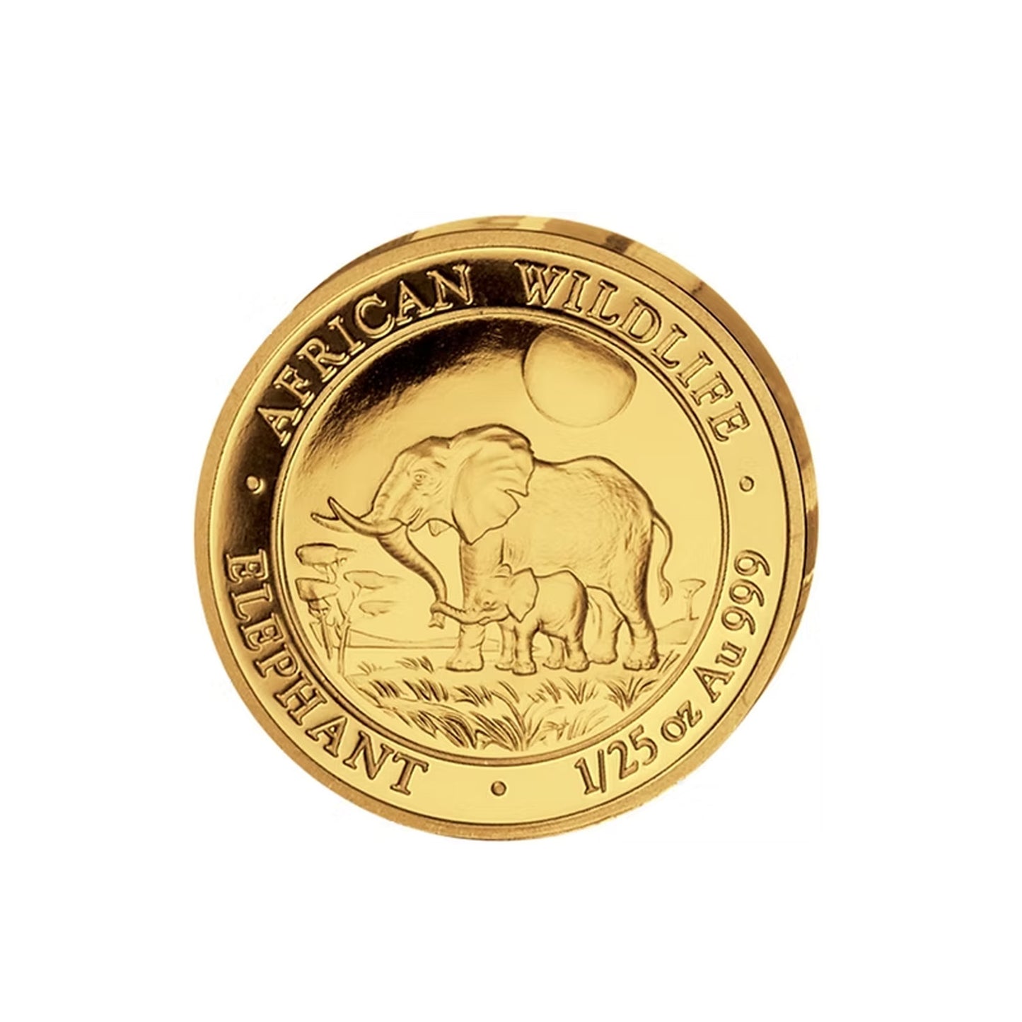 2011 Somalia 50 Shillings African Wildlife Elephant 1/25oz .999 Gold Coin (No Tax)