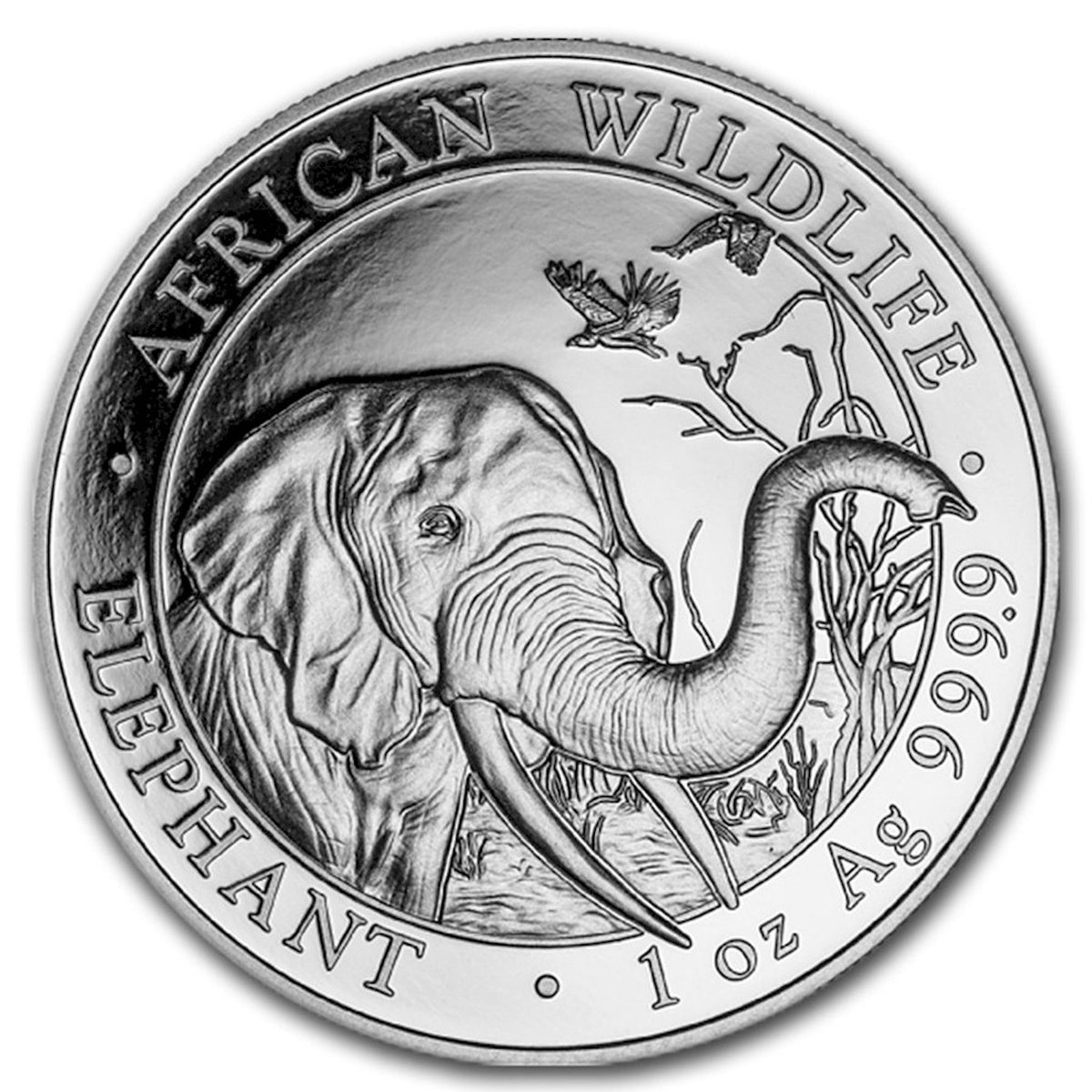 2018 Somalia 100 Shillings Elephant 1oz .999 Silver (No Tax) Lightly Toned