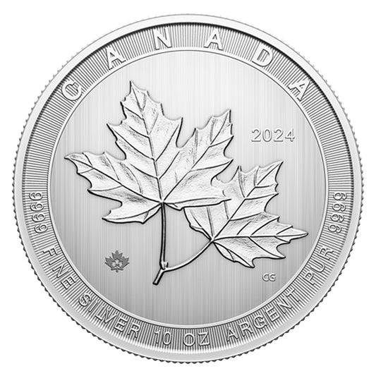 2024 Canada $50 Magnificent Maple 10oz Silver (No Tax) Capsule Lightly Scuffed