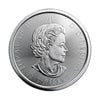 2021 Canada $2 Red-Tailed Hawk 1/2oz Silver (No Tax) May have Hairline Scr