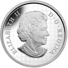 2014 Canada $100 Majestic Maple Leaves 10oz Fine Silver (No Tax)