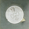 1967 Pakistan Tenth Anniversary of The Imamat Silver Medallion in Case (No Tax) issues