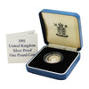 1991 United Kingdom 1 Pound Sterling Silver Proof Coin in Case