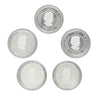 Lot of 5x 2018 Canada $3 Teachings from Grandmother Moon Silver (Coins Only, Impaired) No Tax