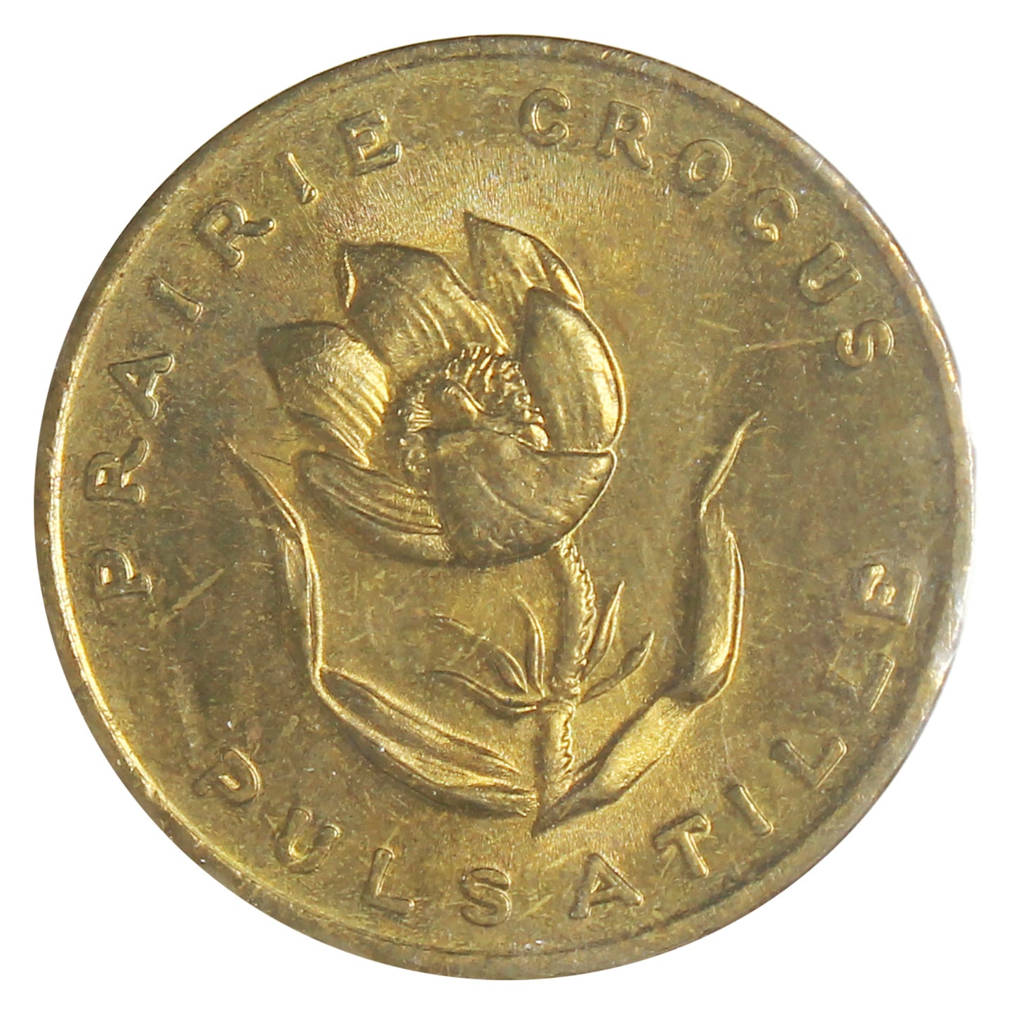 Manitoba Prairie Crocus Shell Oil Arms & Flowers Medallion
