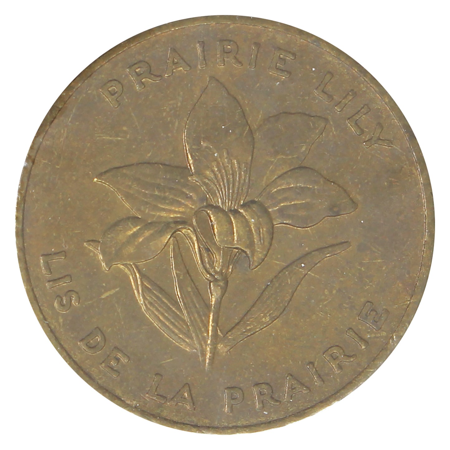 Saskatchewan Prairie Lily Shell Oil Medallion (May be toned)