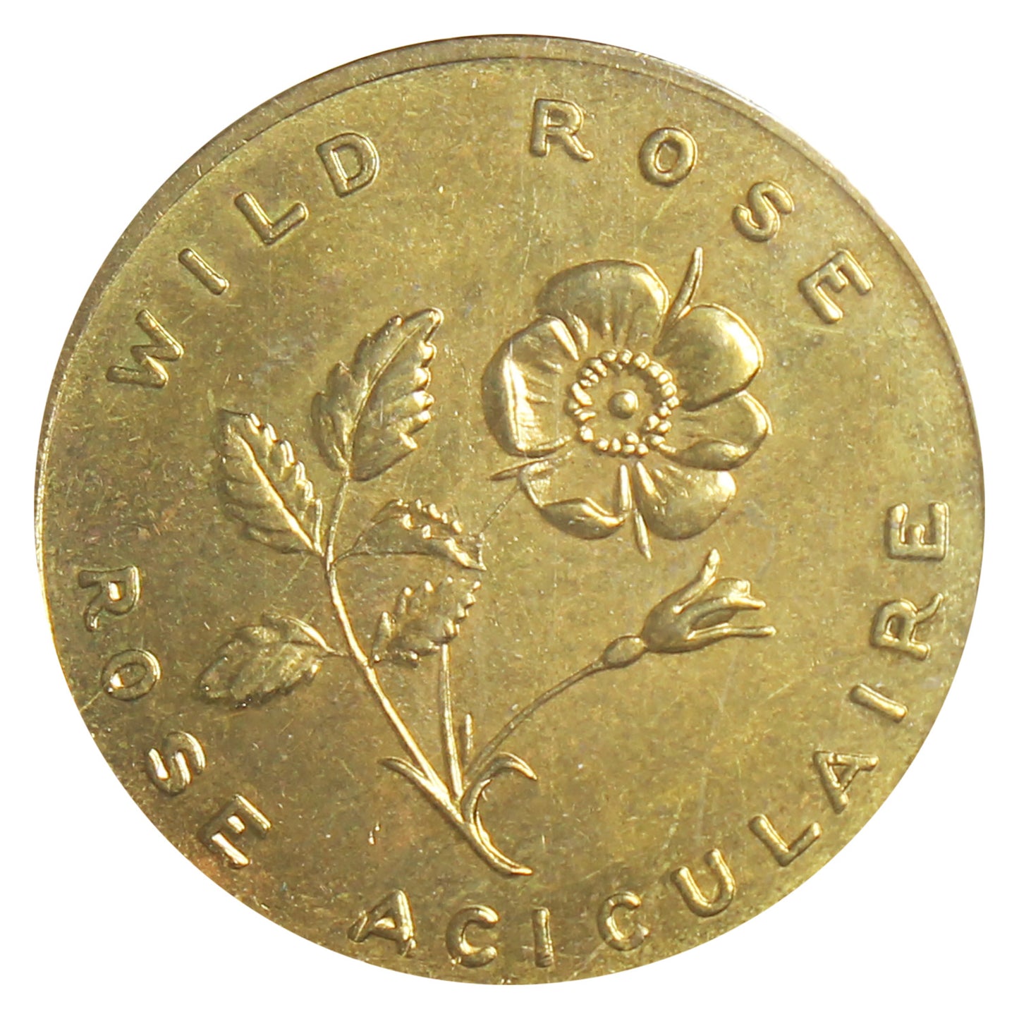 Alberta Wild Rose Shell Oil Arms & Flowers Medallion