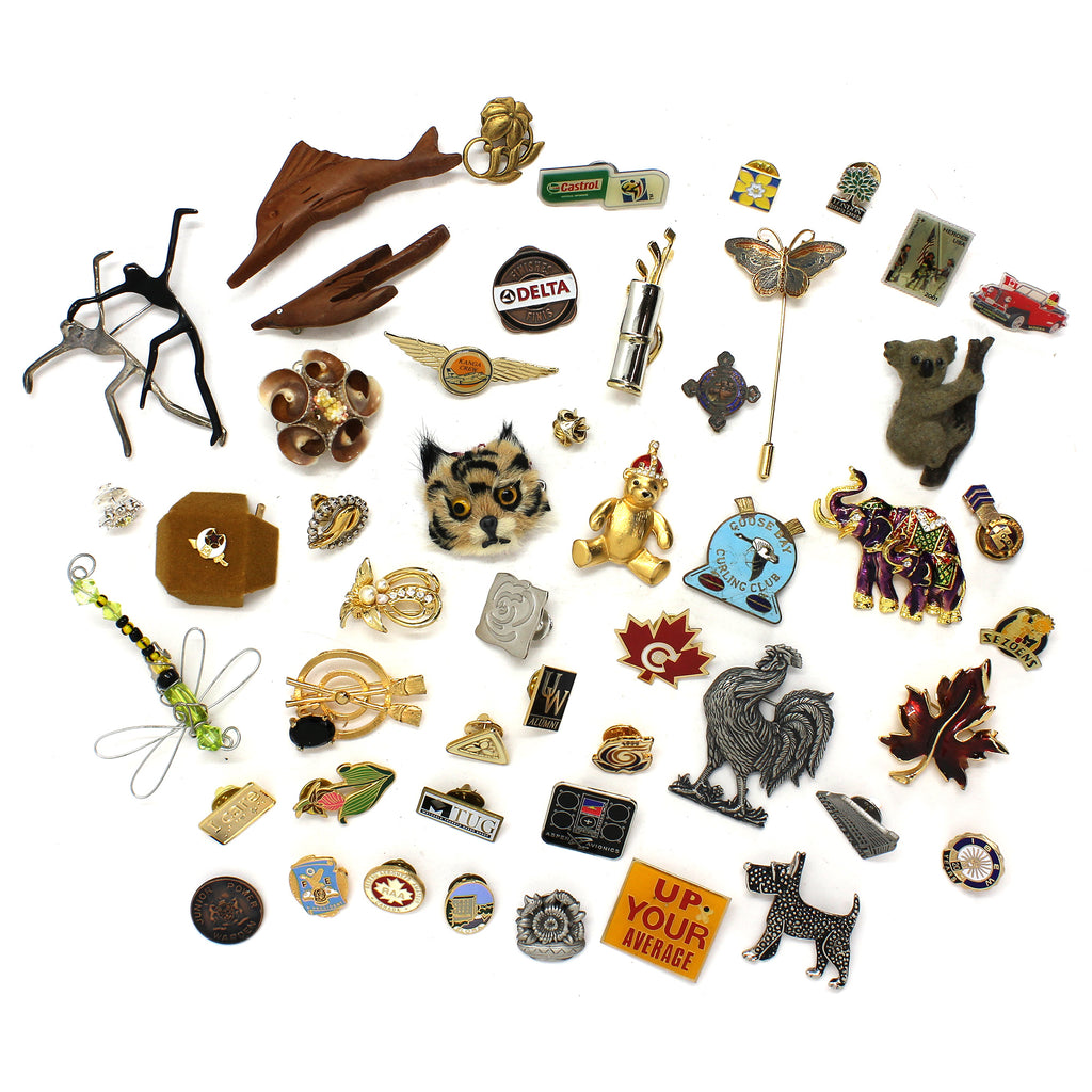 Lot of 49x Intriguing Pins, Incl. Fuzzy Cat & Beady Dragonfly, 49Pcs