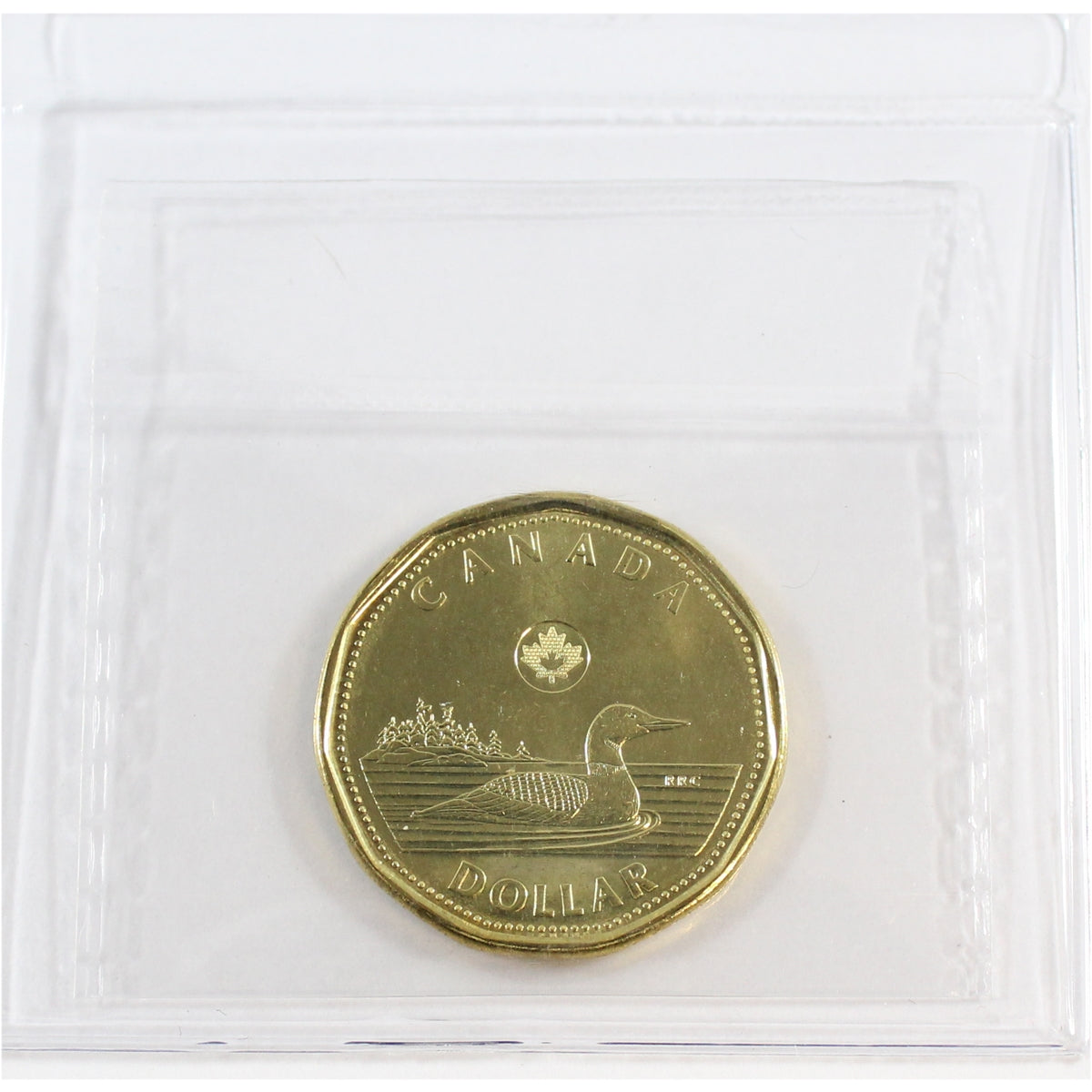 2013 Canada Loon Dollar ICCS Certified MS65