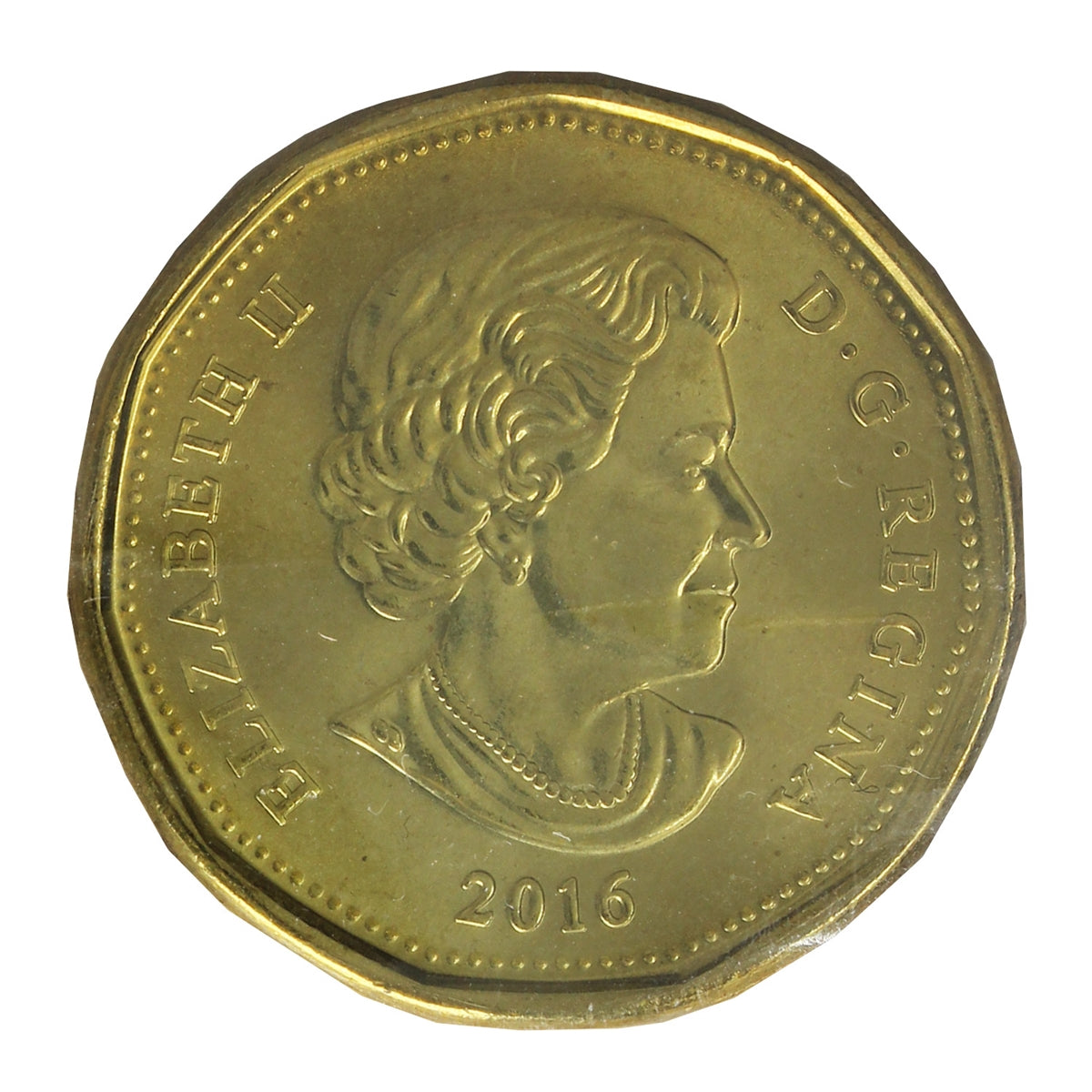2016 Canada Loon Dollar ICCS Certified MS67