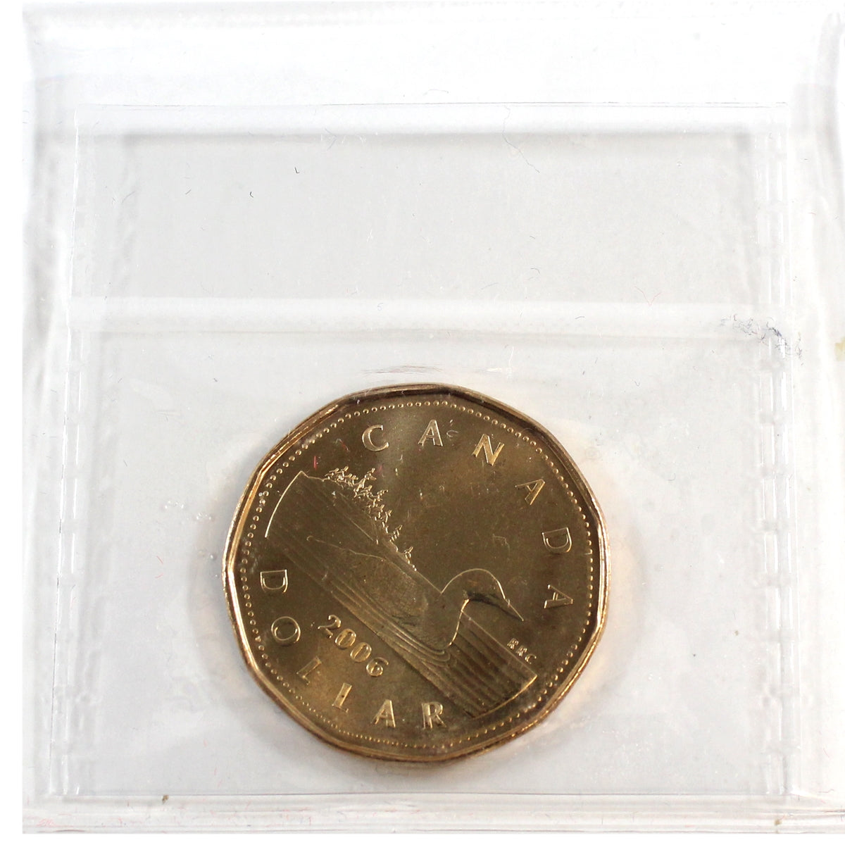 2006 Canada RCM Logo Loon Dollar ICCS Certified MS65