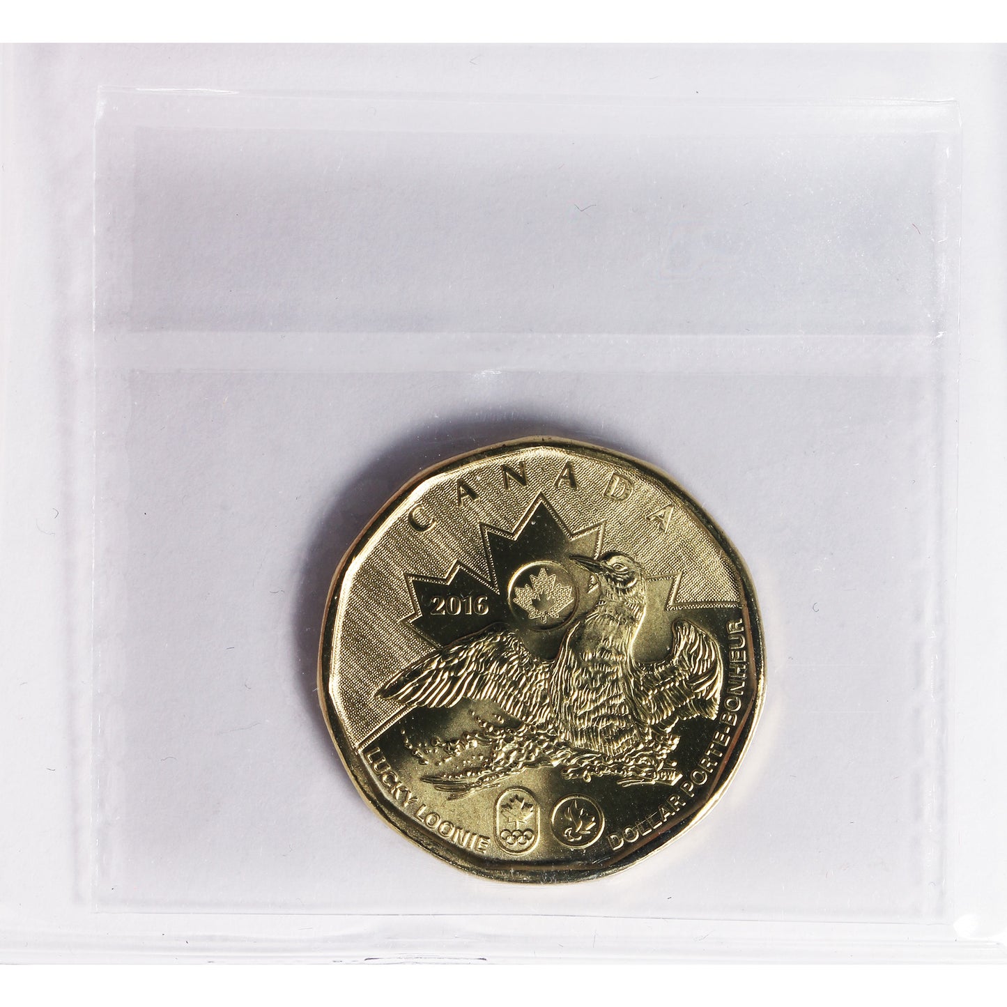2016 Canada Olympic Loon Dollar ICCS Certified MS65