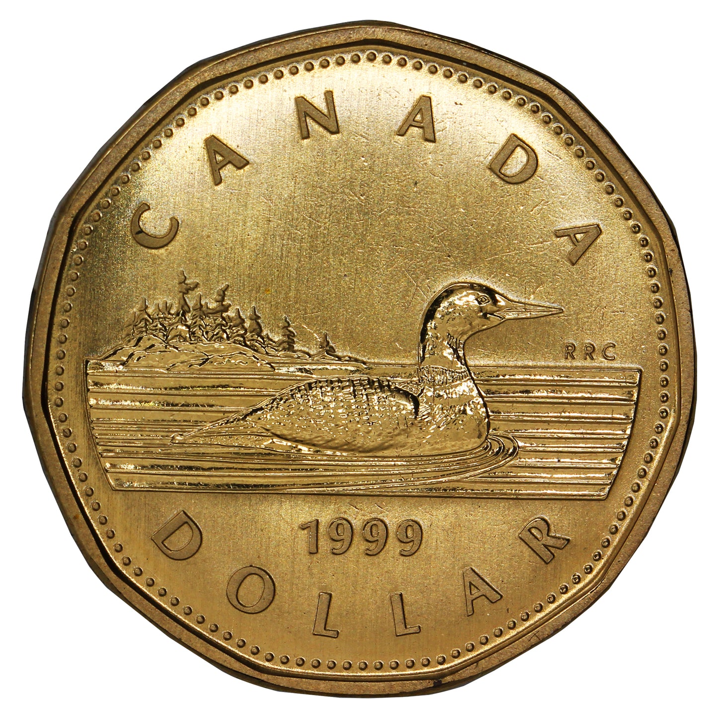 1999 Canada Loon Dollar Specimen