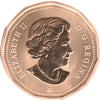 2009 Canada Blue Heron Dollar Specimen