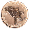 2014 Canada Ferruginous Hawk Dollar Specimen$