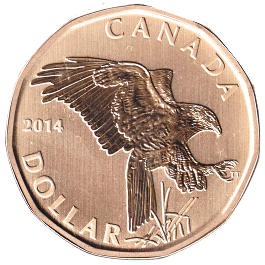 2014 Canada Ferruginous Hawk Dollar Specimen$