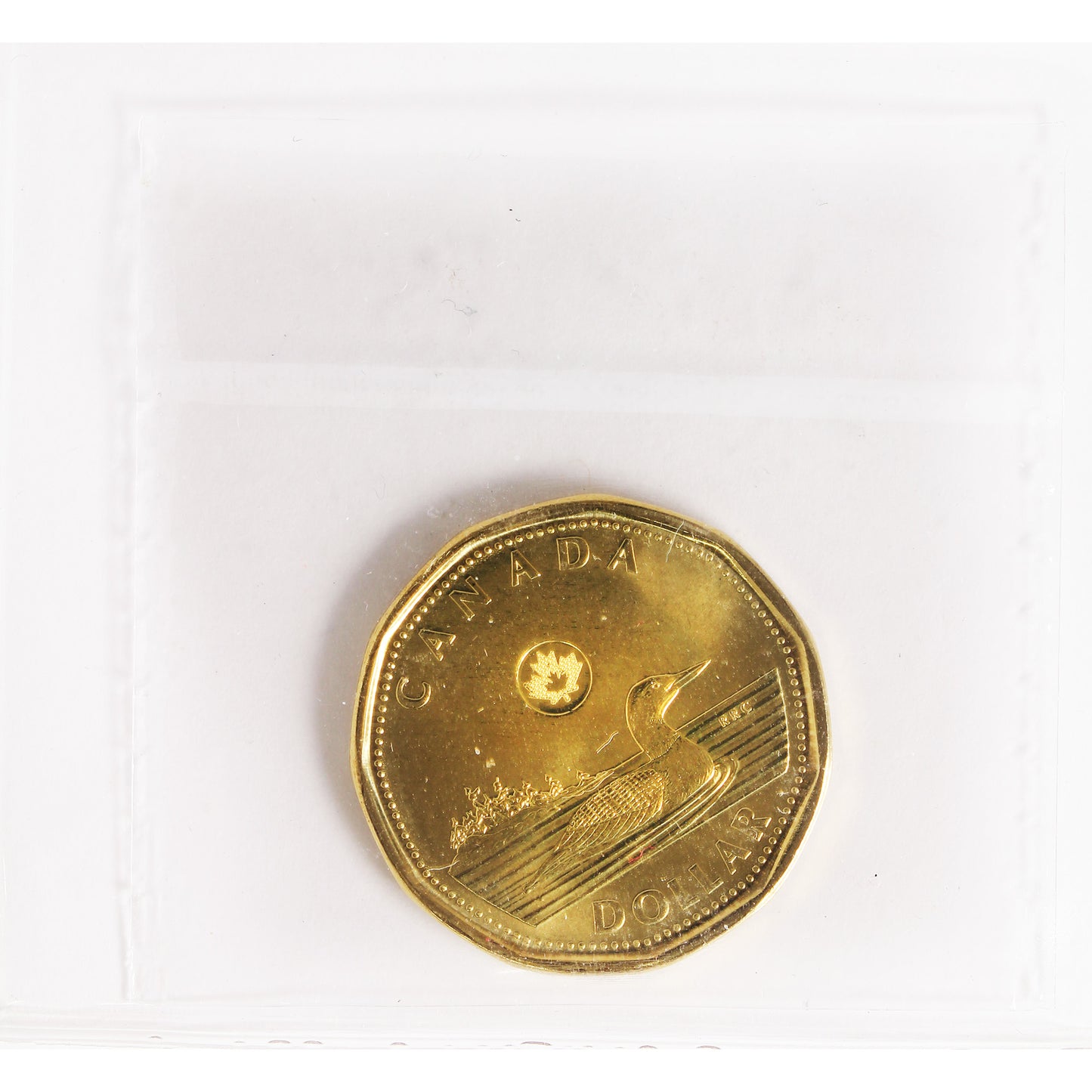 2014 Canada Loon Dollar ICCS Certified MS67