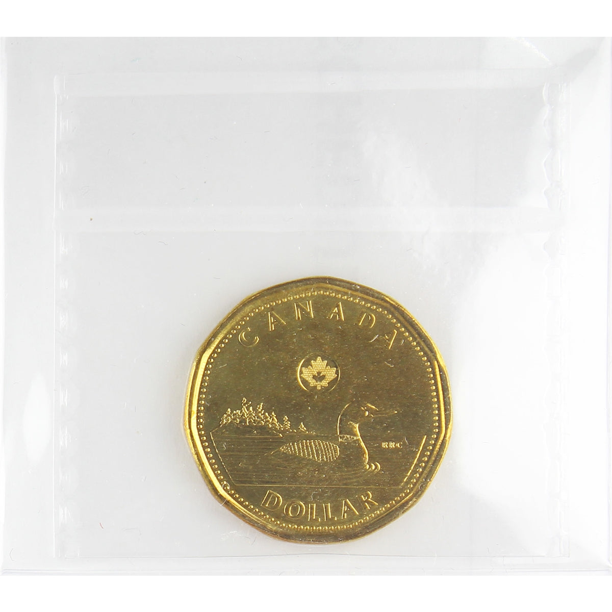 2014 Canada Olympic Loon Dollar ICCS Certified MS65
