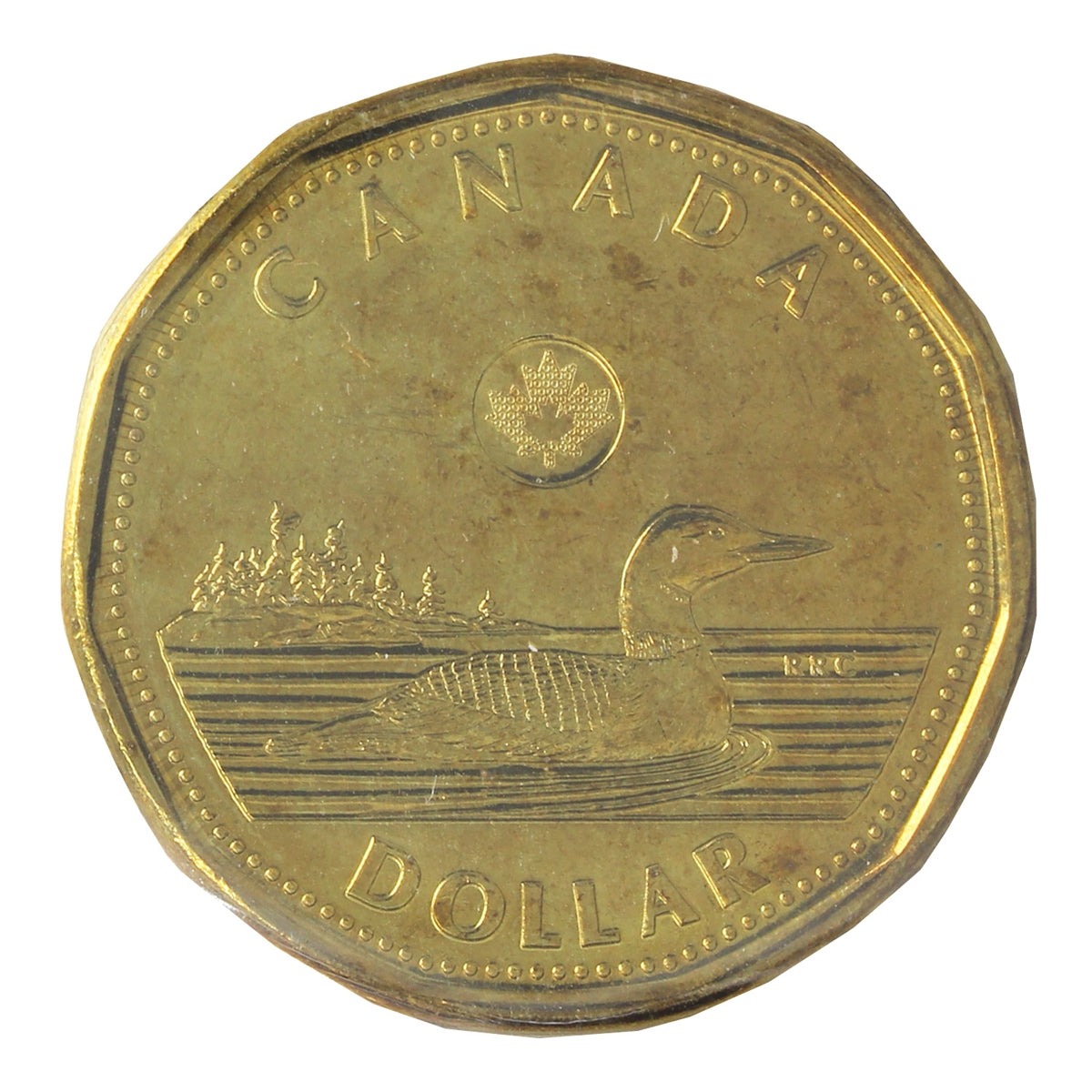 2014 Canada Olympic Loon Dollar ICCS Certified MS65