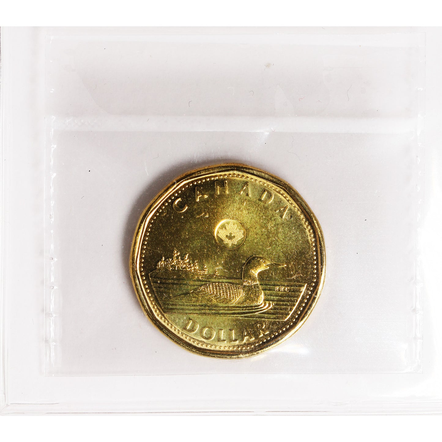 2015 Canada Loon Dollar ICCS Certified MS66