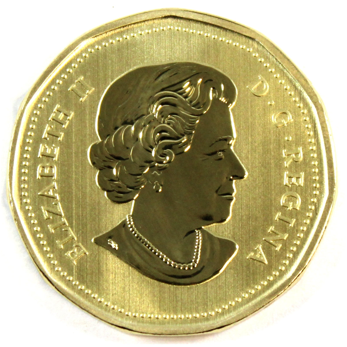 2019 Canada Woodpecker Dollar Specimen$