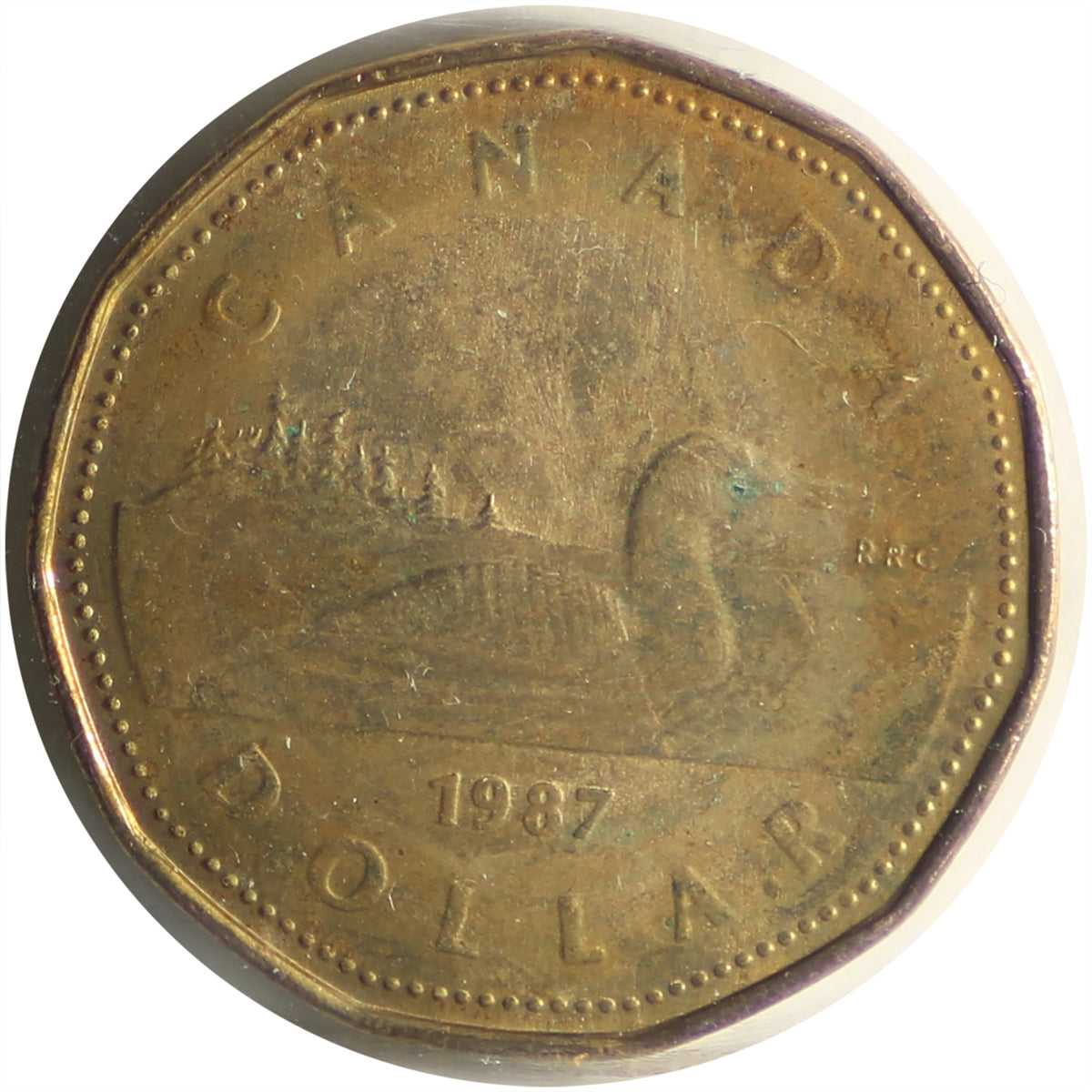 1987 Canada Loon Dollar ICCS Certified MS64